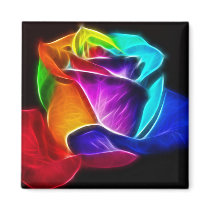 Beautiful Rose of Colours 5