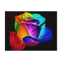 Beautiful Rose of Colours 5