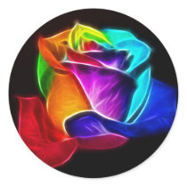 Beautiful Rose of Colours 5