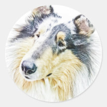 Beautiful Rough Collie dog art Round Sticker