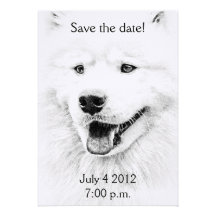Beautiful Samoyed dog art Personalized Invitation