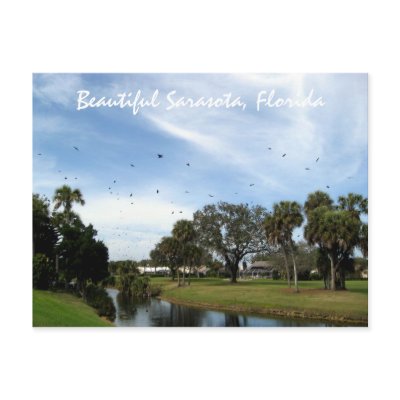 Beautiful Sarasota, Florida Postcard by tkgold