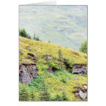 Beautiful Scottish Countryside Greeting Cards