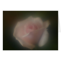 Beautiful Soft Focus Lens Pink Rose Card