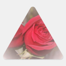 Beautiful Soft Red Roses Stickers