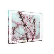 Beautiful Spring Cherry Blossom Gallery Wrap Canvas