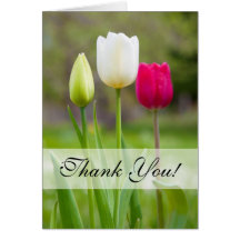 Beautiful spring tulips thank you card