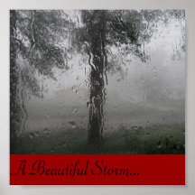 Beautiful Storm Posters