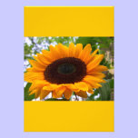Beautiful sunflower, large yellow borders invitations