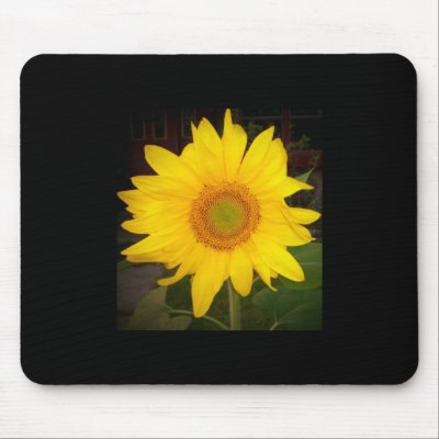 Beautiful Sunflower Mousepad by pammys