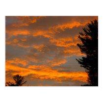 Beautiful Sunset postcards