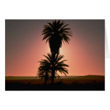 Beautiful Sunset: Sahara Desert, Algeria Card