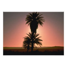Beautiful Sunset: Sahara Desert, Algeria Personalized Announcement