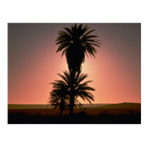 Beautiful Sunset: Sahara Desert, Algeria postcards