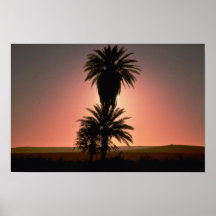 Beautiful Sunset: Sahara Desert, Algeria Posters