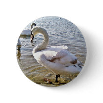 Beautiful Swan Bird Button