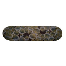 Beautiful Swollen tentacle tips of a sea anemone Skateboards