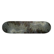 Beautiful The mouth of a ringed anemone Custom Skate Board