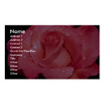 Beautiful Touch of Class Hybrid Tea Rose 'Kricarlo Business Card Templates