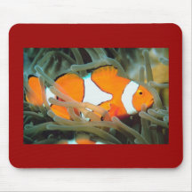 Beautiful Tropic Fish Mousepad