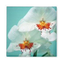 Beautiful Tropical Orchids Magnet