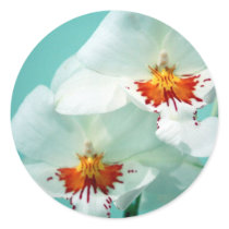 Beautiful Tropical Orchids Stickers