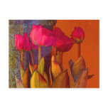 Beautiful Tulips Postcards