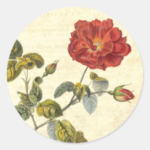 Beautiful Vintage Red Rose Antique Botanical Sticker
