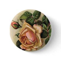 *Beautiful Vintage Roses* Pin