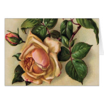 *Beautiful Vintage Roses* Greeting Cards