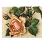 *Beautiful Vintage Roses* Custom Invite