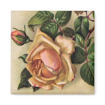 *Beautiful Vintage Roses* Magnet