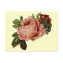 Beautiful Vintage Roses Postcard