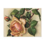 *Beautiful Vintage Roses* Postcard