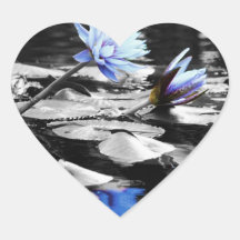 Beautiful Water Lilies Heart Sticker