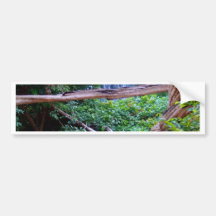 Beautiful  waterfall bumper stickers