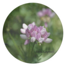 Beautiful Weeds Party Plates