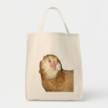 Beautiful Wheaten Ameraucana Chickens Bags