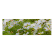 Beautiful White Cosmos Bookmark/Business Card