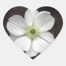beautiful white flower sticker