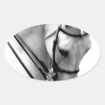 Beautiful white Horse head Sticker