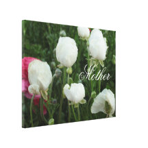 Beautiful White Ranunnculus Spring Mother Gift Gallery Wrap Canvas