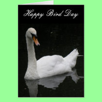 Beautiful White Swan Custom Birthday Card cards