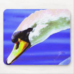 Beautiful White Swan Mouse Pad