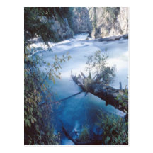 Beautiful white-waters post card