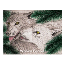 Beautiful Wildlife Scenes #1 Wolves Forever Post Cards