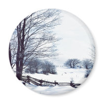 Beautiful Winter Day