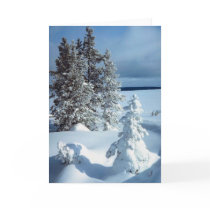 Beautiful Winter Scene