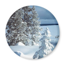 Beautiful Winter Scene