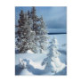 Beautiful Winter Scene